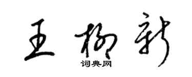 梁锦英王柳新草书个性签名怎么写