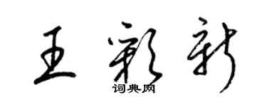 梁锦英王彩新草书个性签名怎么写