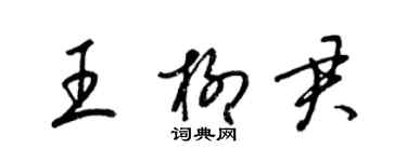 梁锦英王柳君草书个性签名怎么写