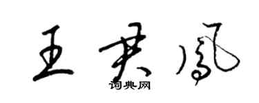 梁锦英王君凤草书个性签名怎么写