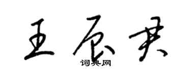梁锦英王辰君草书个性签名怎么写