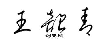 梁锦英王韶青草书个性签名怎么写