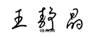 梁锦英王静晶草书个性签名怎么写
