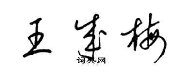 梁锦英王成梅草书个性签名怎么写