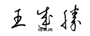 梁锦英王成胜草书个性签名怎么写