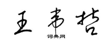 梁锦英王韦哲草书个性签名怎么写