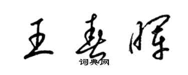 梁锦英王春晖草书个性签名怎么写