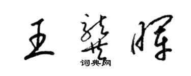 梁锦英王龚晖草书个性签名怎么写