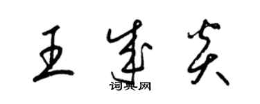 梁锦英王成炎草书个性签名怎么写