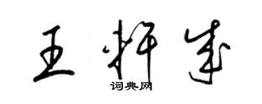 梁锦英王轩成草书个性签名怎么写