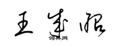 梁锦英王成昭草书个性签名怎么写
