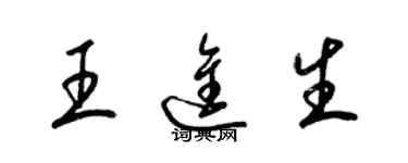 梁锦英王进生草书个性签名怎么写