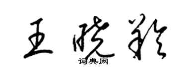 梁锦英王晓羚草书个性签名怎么写