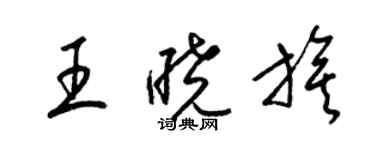 梁锦英王晓旗草书个性签名怎么写
