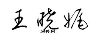 梁锦英王晓娓草书个性签名怎么写