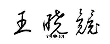 梁锦英王晓竞草书个性签名怎么写
