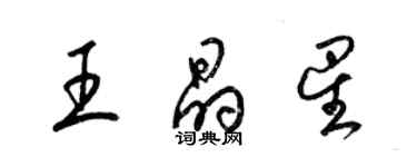 梁锦英王晶星草书个性签名怎么写