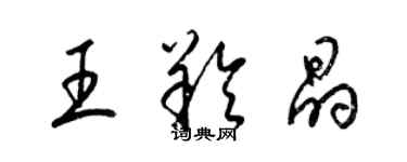 梁锦英王羚晶草书个性签名怎么写