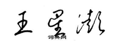 梁锦英王星澎草书个性签名怎么写
