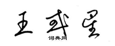 梁锦英王或星草书个性签名怎么写