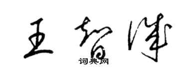 梁锦英王智诚草书个性签名怎么写