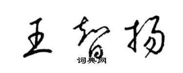 梁锦英王智扬草书个性签名怎么写