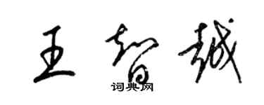 梁锦英王智越草书个性签名怎么写