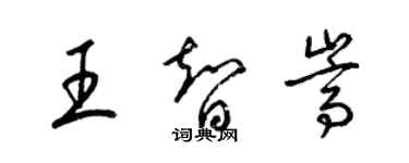 梁锦英王智嵩草书个性签名怎么写