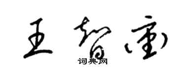 梁锦英王智冲草书个性签名怎么写