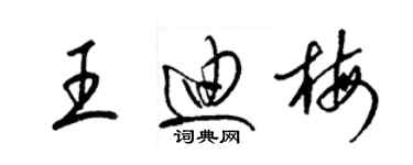 梁锦英王迪梅草书个性签名怎么写
