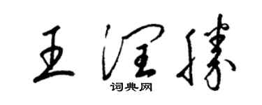 梁锦英王润胜草书个性签名怎么写