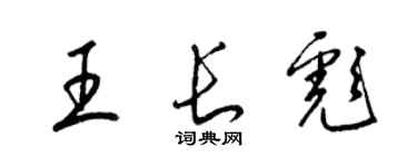 梁锦英王长彪草书个性签名怎么写