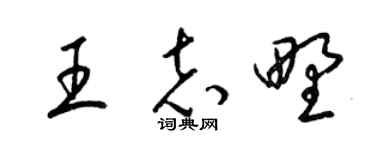 梁锦英王志野草书个性签名怎么写