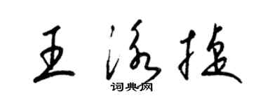 梁锦英王泳捷草书个性签名怎么写