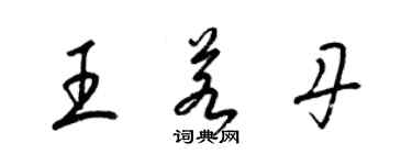 梁锦英王若丹草书个性签名怎么写