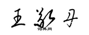 梁锦英王敬丹草书个性签名怎么写