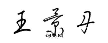 梁锦英王景丹草书个性签名怎么写