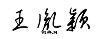 梁锦英王胤颖草书个性签名怎么写