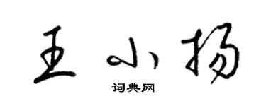梁锦英王小扬草书个性签名怎么写