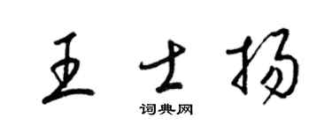 梁锦英王士扬草书个性签名怎么写