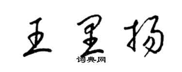 梁锦英王里扬草书个性签名怎么写