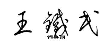 梁锦英王铁民草书个性签名怎么写