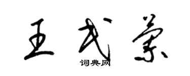 梁锦英王民兰草书个性签名怎么写