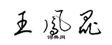 梁锦英王凤昆草书个性签名怎么写