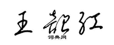 梁锦英王韶红草书个性签名怎么写