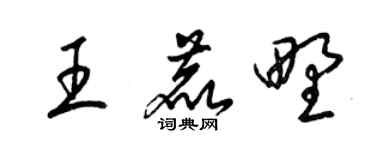 梁锦英王鹿野草书个性签名怎么写