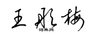 梁锦英王彤梅草书个性签名怎么写