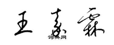 梁锦英王嘉霖草书个性签名怎么写