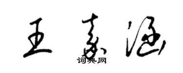 梁锦英王嘉涵草书个性签名怎么写