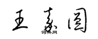 梁锦英王嘉圆草书个性签名怎么写